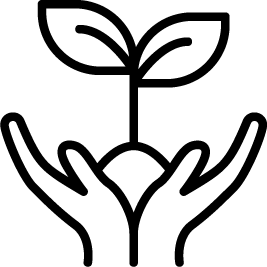 Lama Fera
